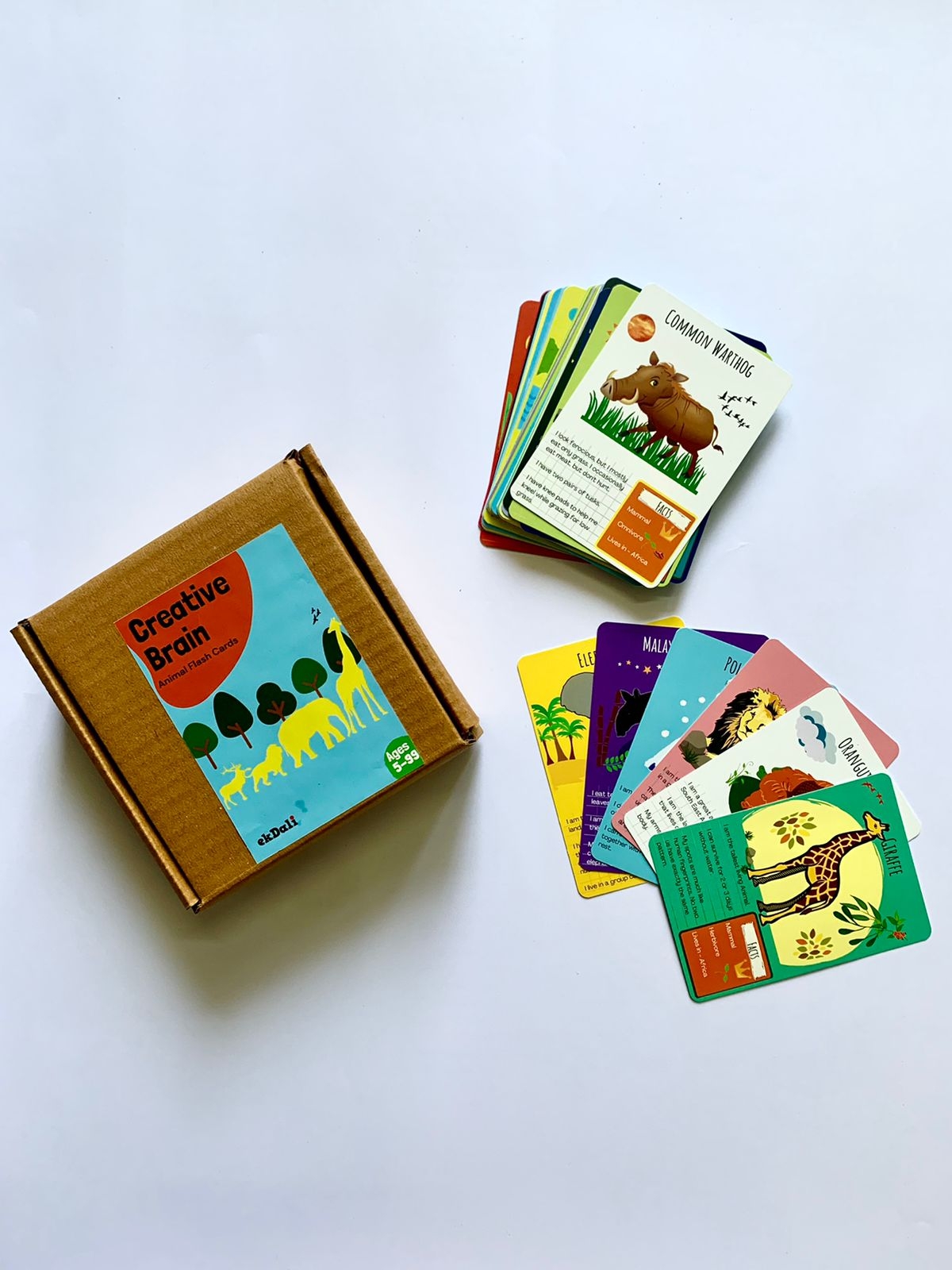 Educational Posters Flash Cards Maps And Books For Kids